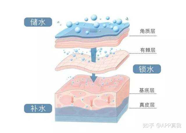 雪肌精化妆水和兰蔻粉水_美肤水化妆品是正品吗_化妆水健康水