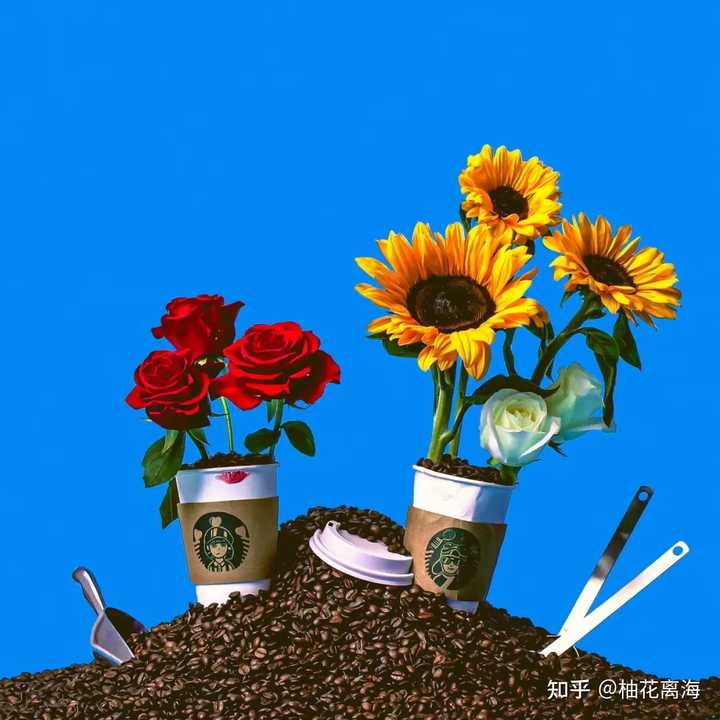 有哪些直击心脏的浪漫句子 知乎