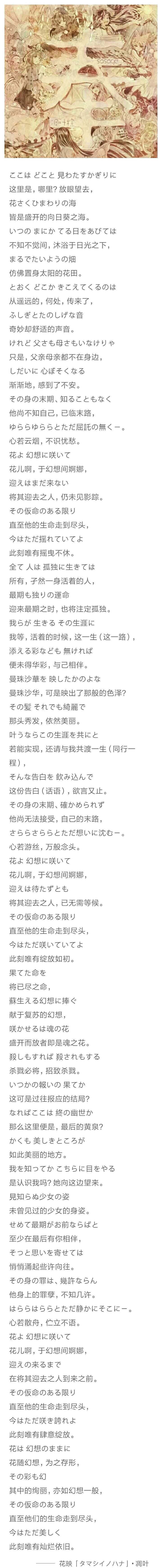 如何评价 东方花映冢 知乎 如何评价 东方花映冢 知乎