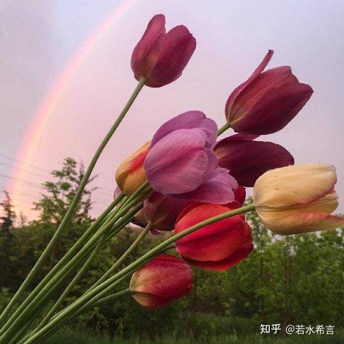 有哪些浪漫文艺的七夕文案 知乎