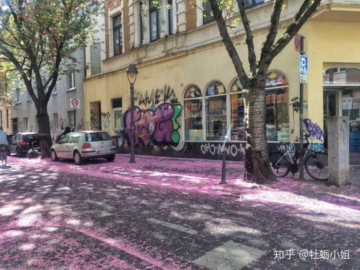 德国波恩是一个怎么样的城市? - 知乎