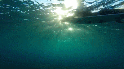 有哪些深海恐惧症看了会害怕的图片 知乎