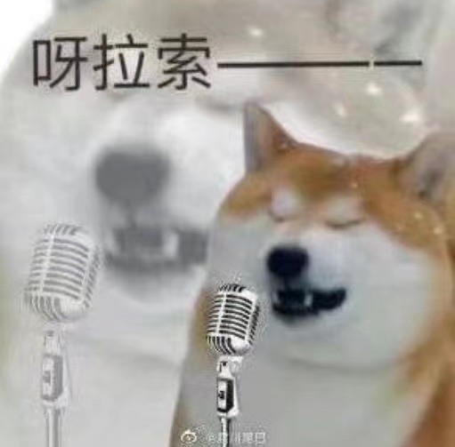 有哪些笑出猪叫的“疯批语录”？ - 知乎