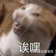 2023年网上赚钱的软件有哪些?真正能赚钱的3个赚钱软件分享给大家 最新资讯 第6张-YOMO 2023年网上赚钱的软件有哪些?真正能赚钱的3个赚钱软件分享给大家 最新资讯 第6张