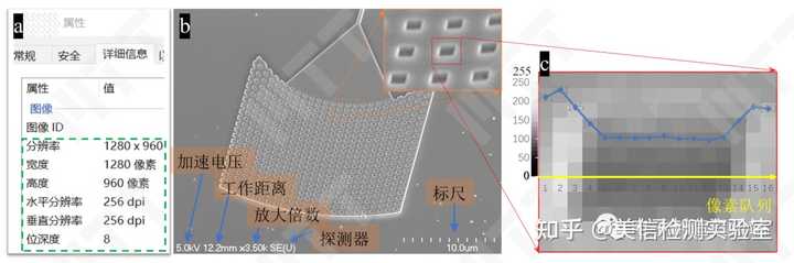 SEM 图从哪几个方面分析? - 知乎