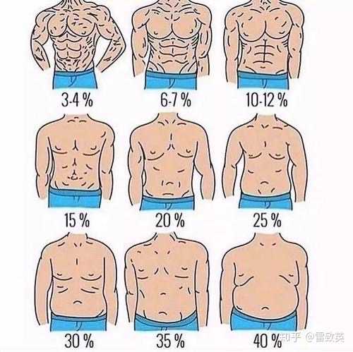 男生体脂率图 男性体脂率一览图 男体脂率对照表