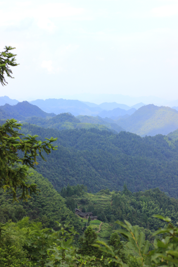 喜欢独处的人，独处时都在做什么？