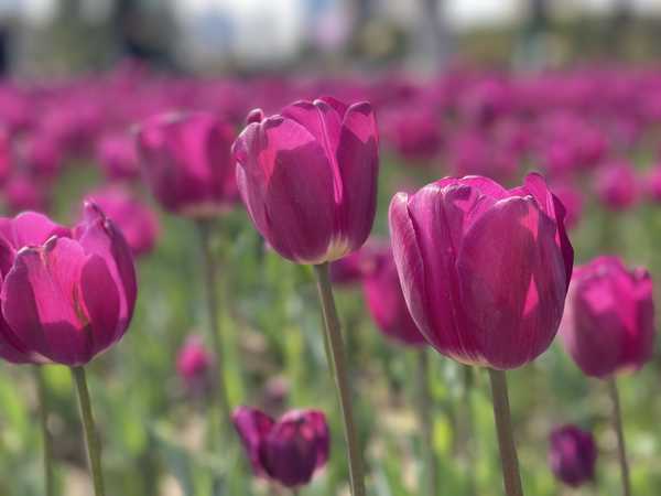 当约定时间到了，孩子说「再玩10分钟」时，你如何应对？