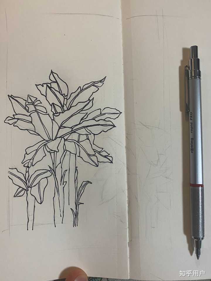 有哪些适合新手临摹的画？ - 知乎