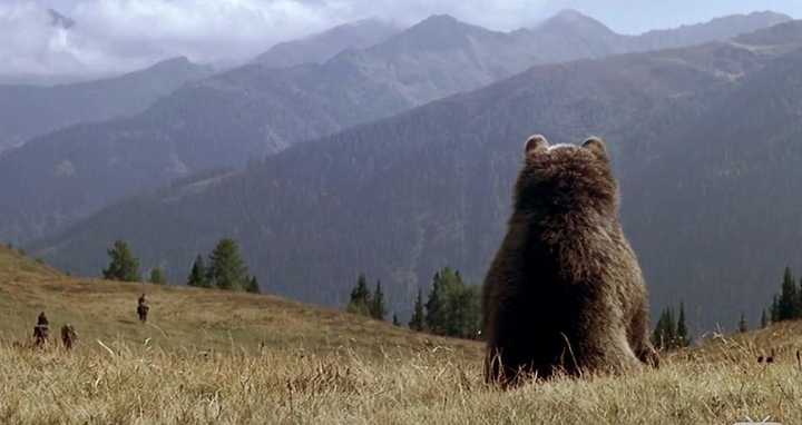 点击查看全部 19 张观法国老电影 熊老赵情深不寿,强极则辱.