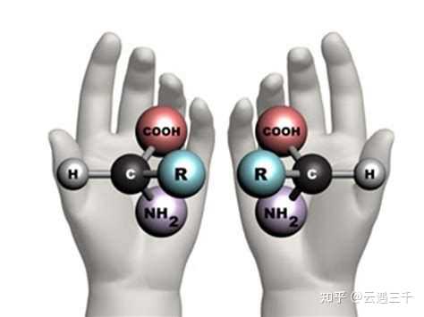 怎么从化学结构上判断是否为手性分子呢？ - 知乎