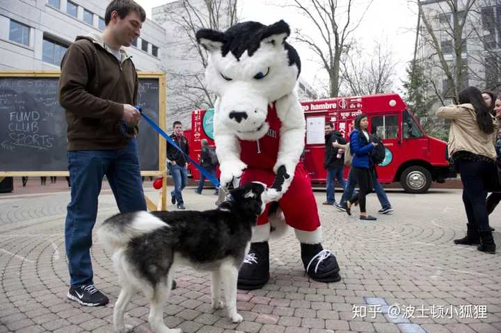 在东北大学 Northeastern University 就读是怎样的体验 知乎