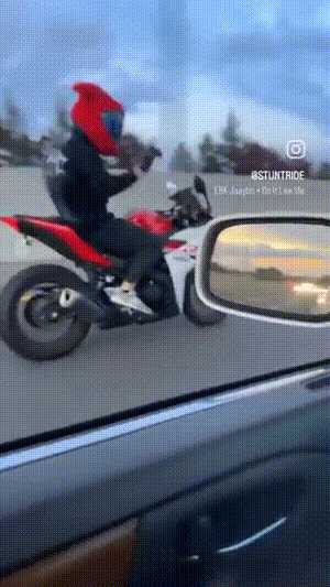 动图封面