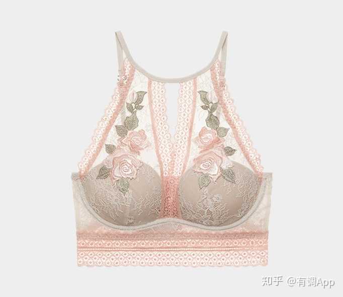除了维密，还有哪些国外的内衣品牌？ - 知乎