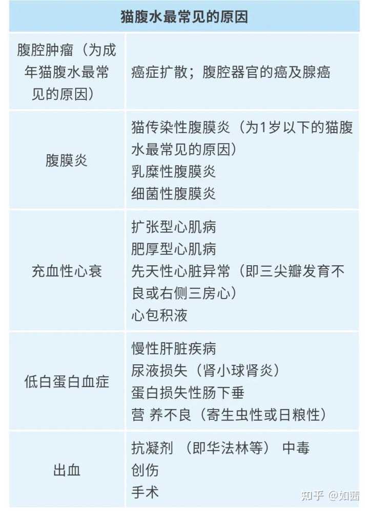 猫传腹441多少钱一针_传腹药441价格一览表_猫传腹一般能活多久
