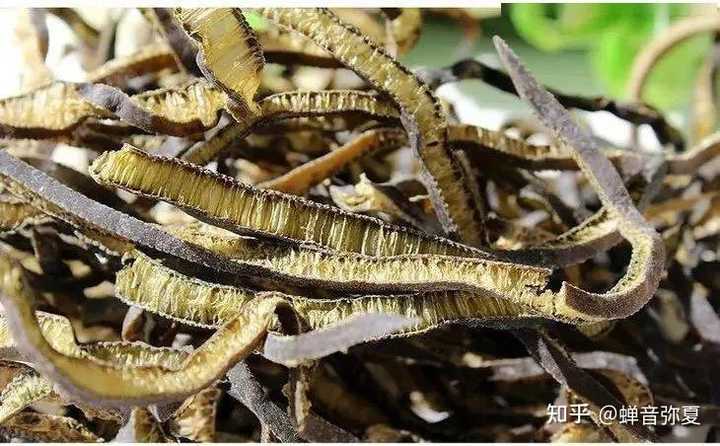 海茸的功效与价值有哪些? - 知乎