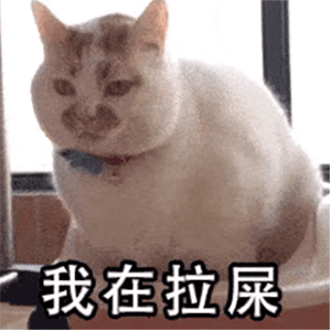 你收藏了哪些可爱的gif动画? - 知乎