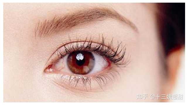 内双到底是那样的,和双眼皮以及单眼皮有什么大的区别? - 知乎