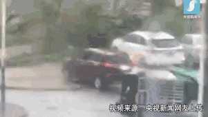 动图封面
