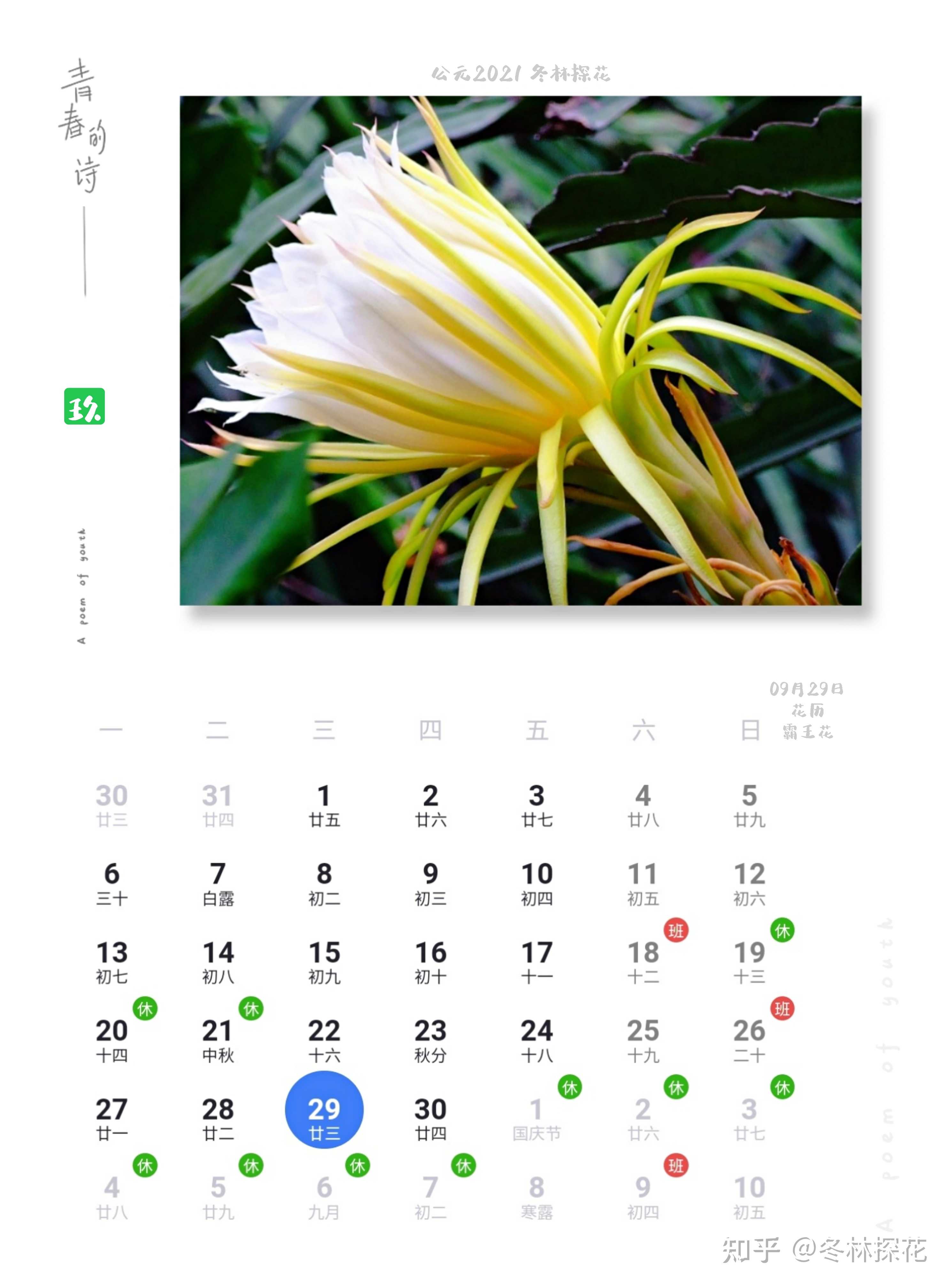 冬林探花 的想法: 9月29日花历,霸王花 - 知乎