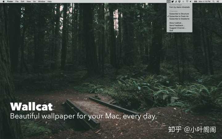 Mac有哪些好用的桌面壁纸软件 知乎