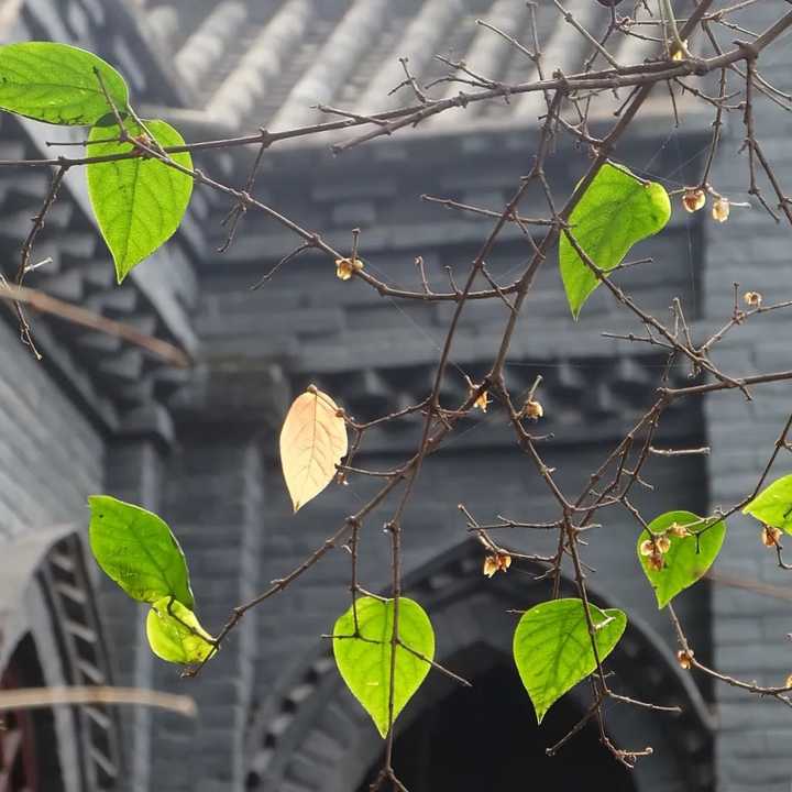 成都火锅图片_成都火锅图片手绘_火锅图片四川