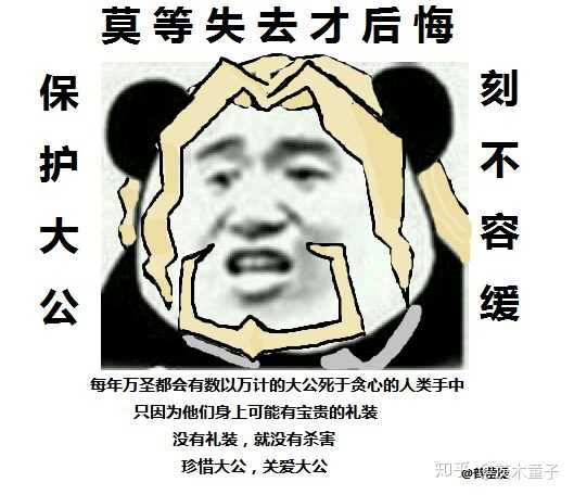Fgo中有哪些超好用的礼装 知乎 Fgo中有哪些超好用的礼装 知乎