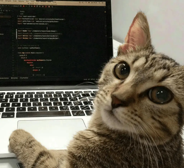 写小说每天坚持4千字难吗？