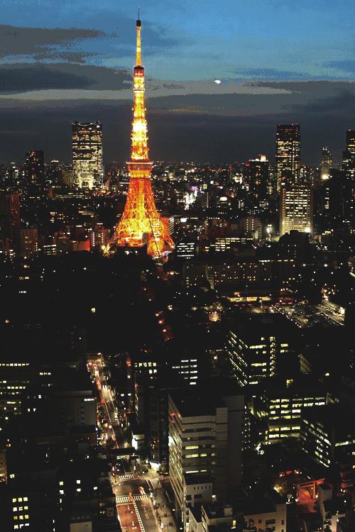 东京有哪些高层建筑适合拍夜景 知乎