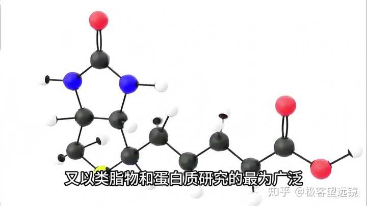生物化学中的四种生物大分子是哪四种? - 知乎