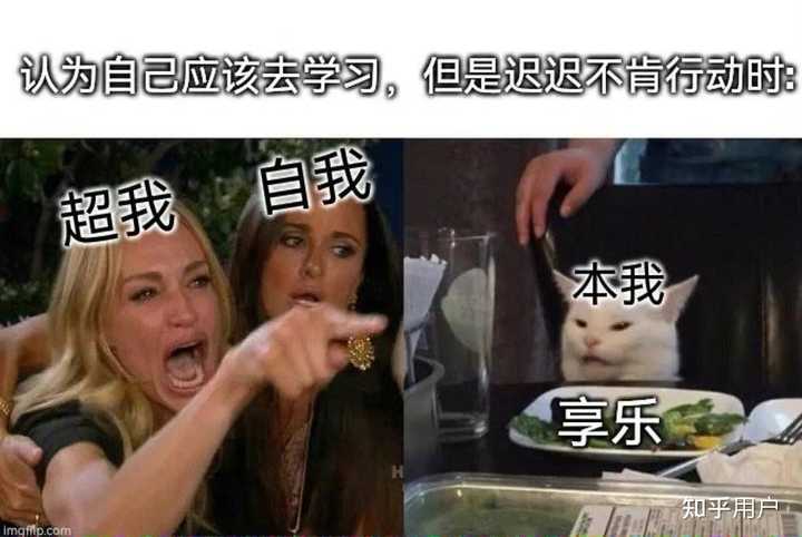你有哪些和科研/读研相关的表情包? - 知乎