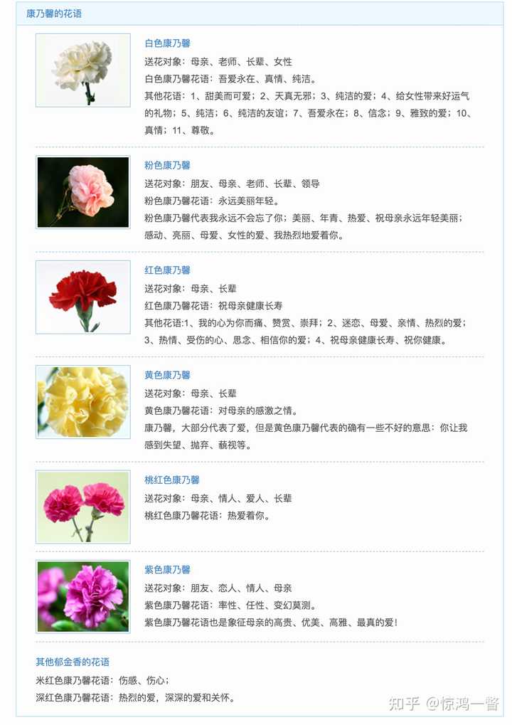 常见的花的花语是什么 知乎