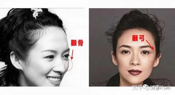 如何判断一个人的颧骨是高还是低? - 知乎
