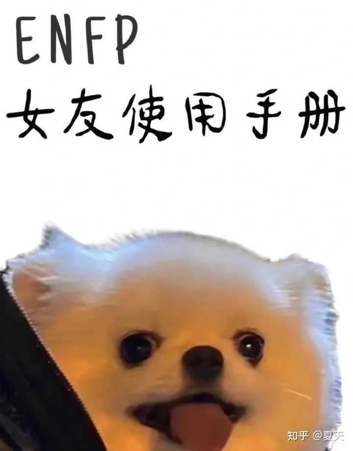 有一个ENFP女朋友是什么体验? - 知乎