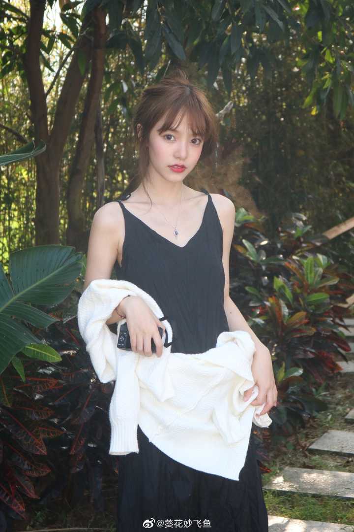 如何评论葵花妙飞鱼 知乎