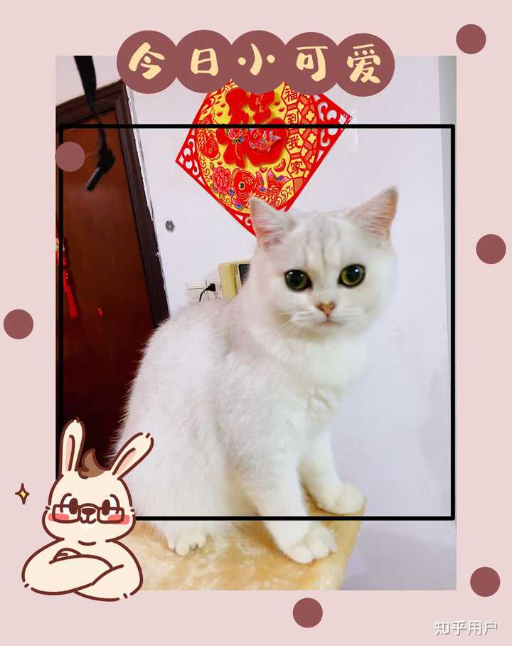 中华民族传统文化的精神内核到底是什么？ - 知乎