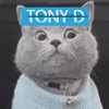 Tony.D