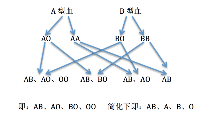 什么样的血型可以生出什么样的血型 血型是怎么遗传的 知乎