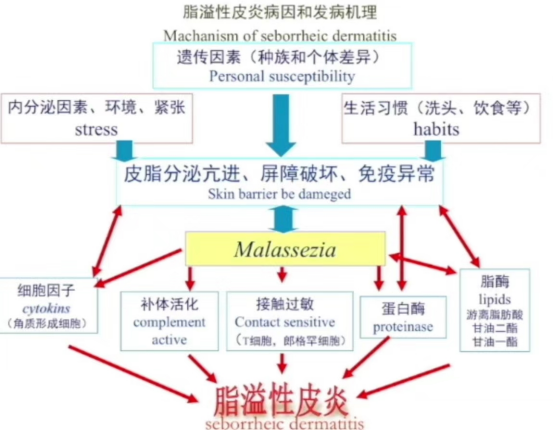 怎么分辨自己是敏感肌还是脂溢性皮炎? - 知乎
