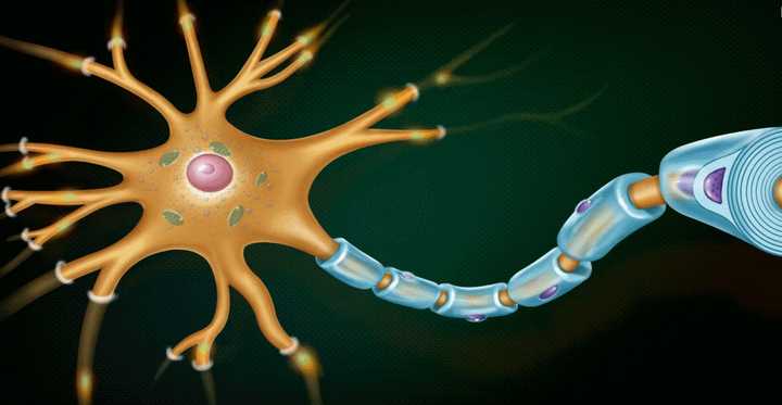 神经科学 细胞生物学 「非常想问」科普活动 人体细胞是如何产生电信