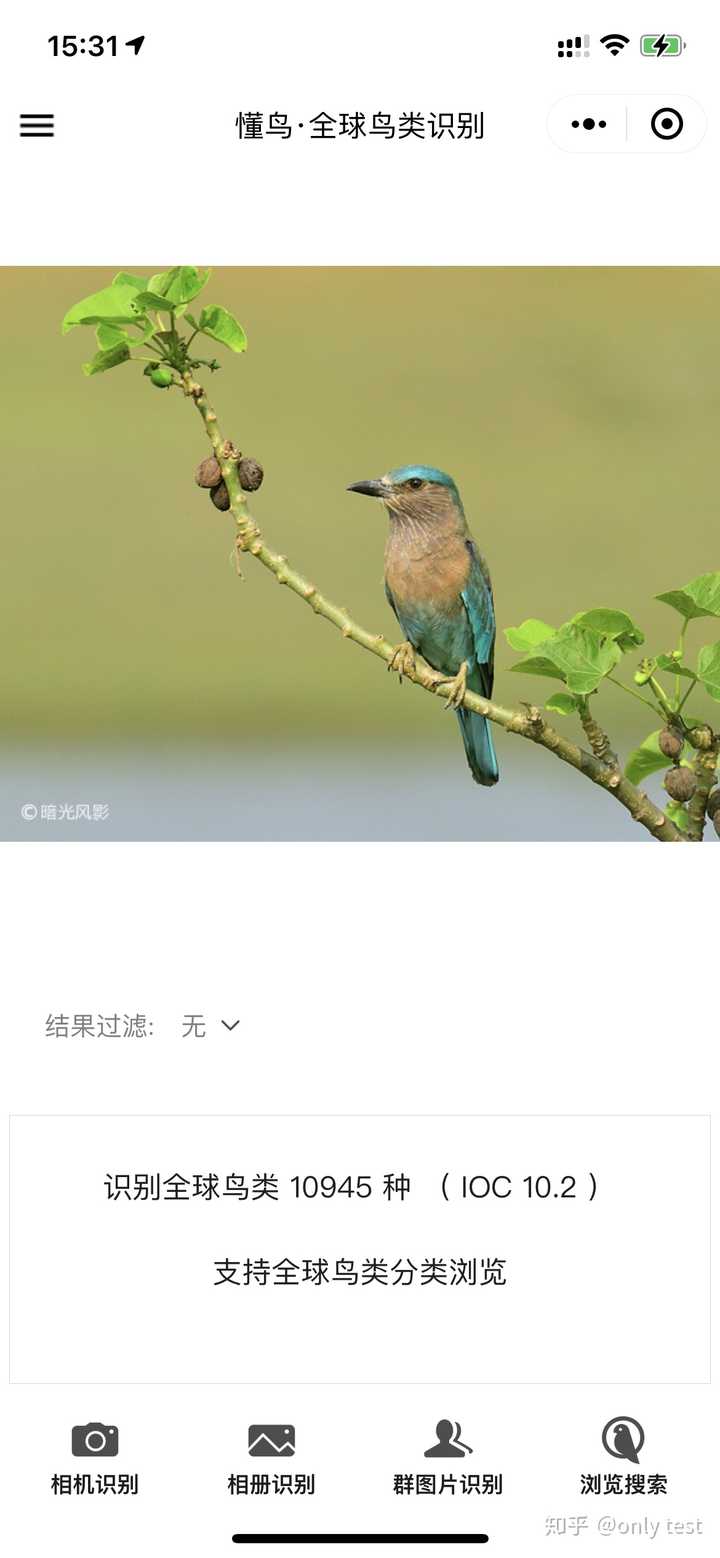 有没有靠谱的识别鸟类软件？ - 知乎