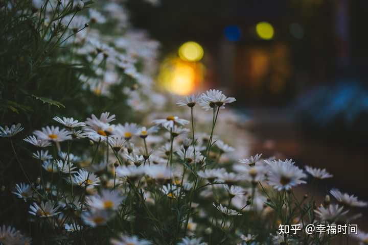 TAMRON收購鏡頭