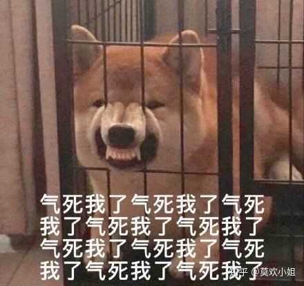 如何以 我嫁给了我不喜欢的公子 为主题写一个故事 知乎