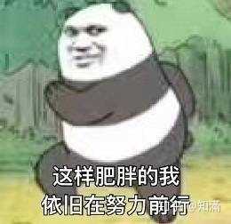 减肥药物前十名_药物减肥_内分泌减肥药物