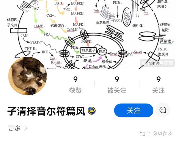 苏州大学是985还是211_苏州大学2+2_苏州大学是985211嘛