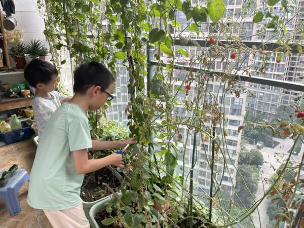 现在的娃直接坦然吃不了苦可咋办？