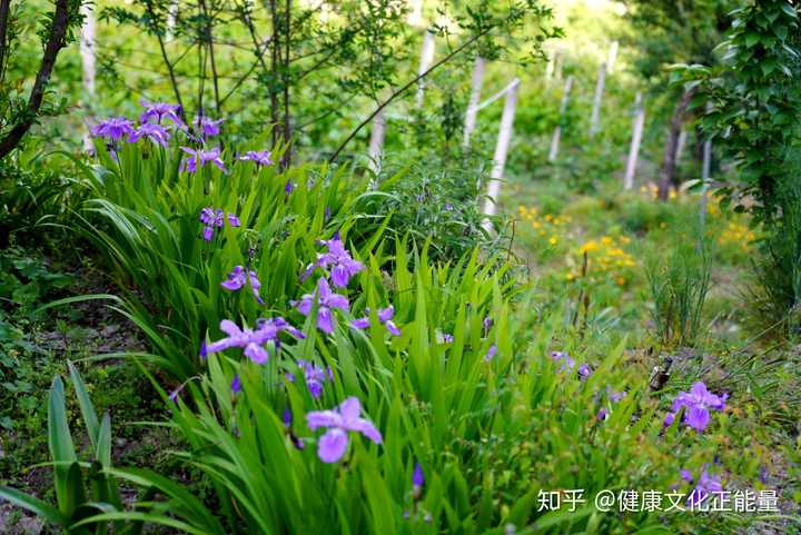 前列腺炎有没有治愈后不复发的案例