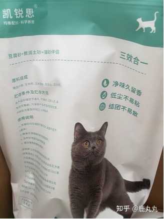 如何教猫咪使用猫砂 知乎