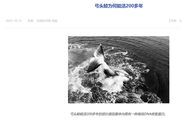 如果给圈养的肉食性动物一直吃熟肉，其进化速度和寿命会不会像人类一样得到明显提升和延长?