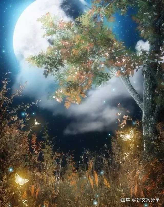 抖音最火的伤感情感短句